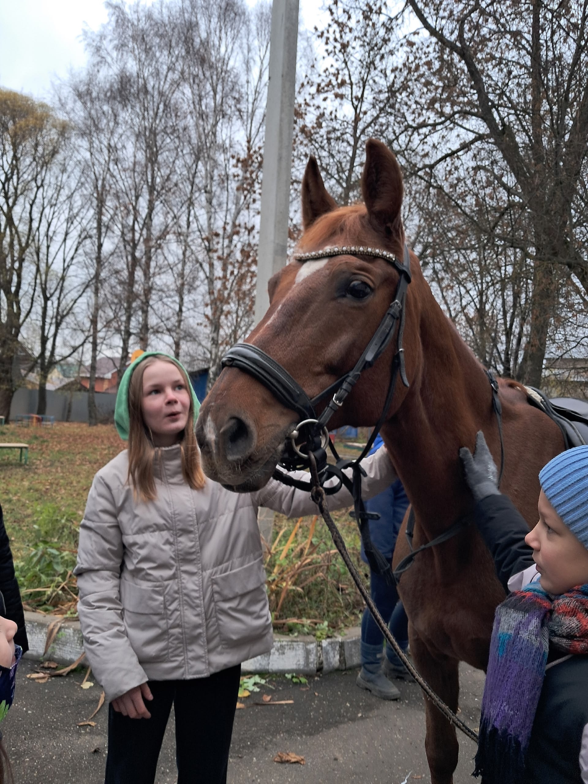 Благодарим Конный Клуб "Виват" г.Вологда за настоящий праздник для детей.!